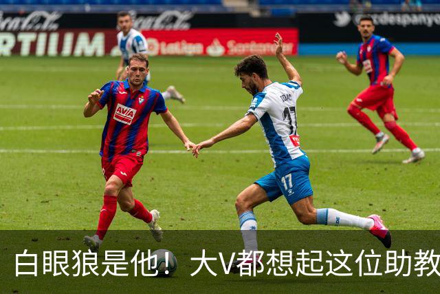 白眼狼是他！大V都想起这位助教 把鲁能告上法庭